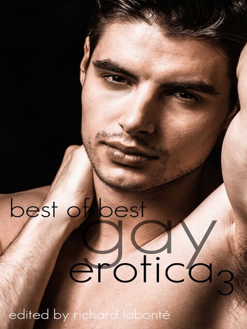 Title details for Best of Best Gay Erotica 3 by Richard Labonte - Available